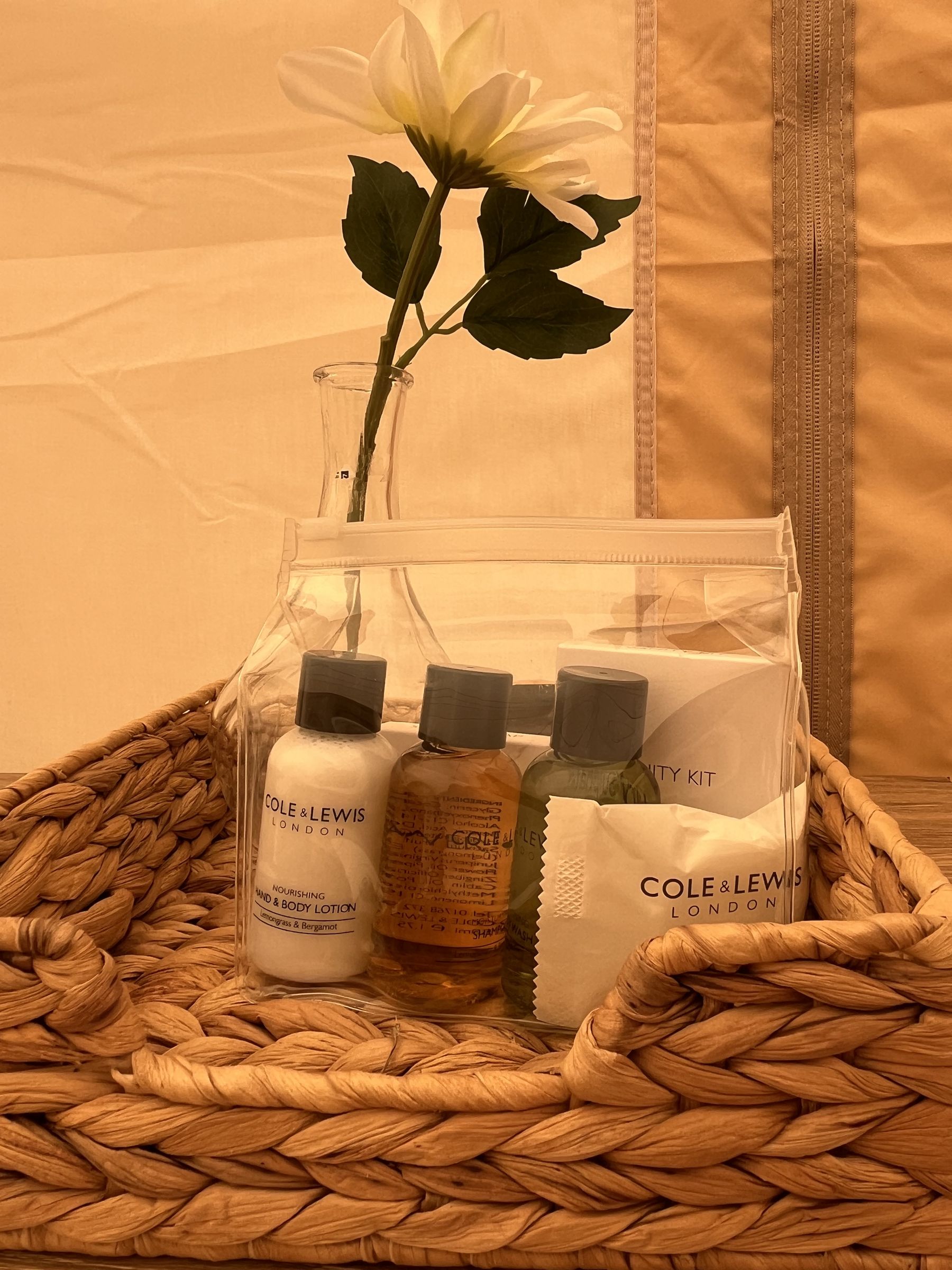 Toiletries laid out on a tray