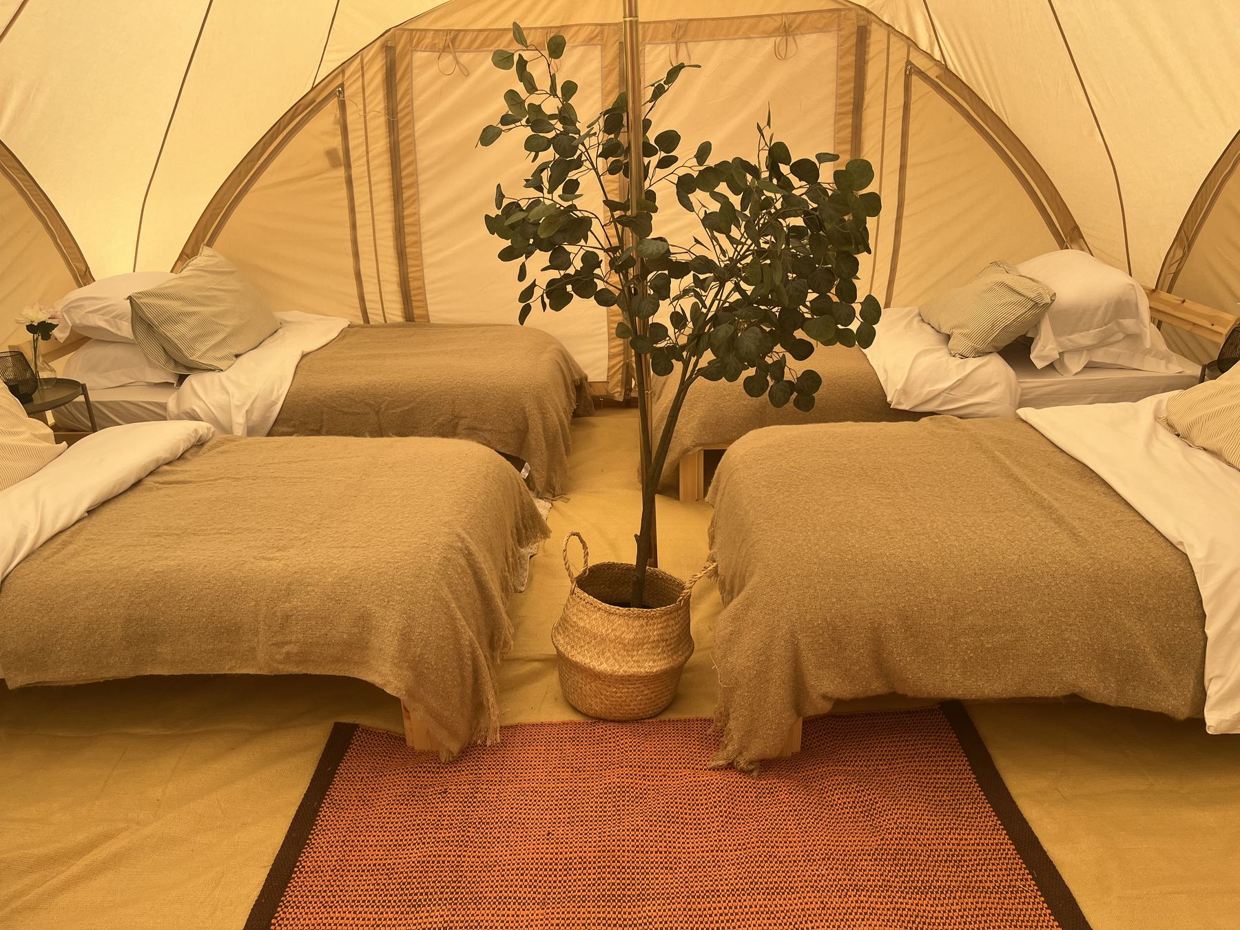 Four single beds laid out inside a tent