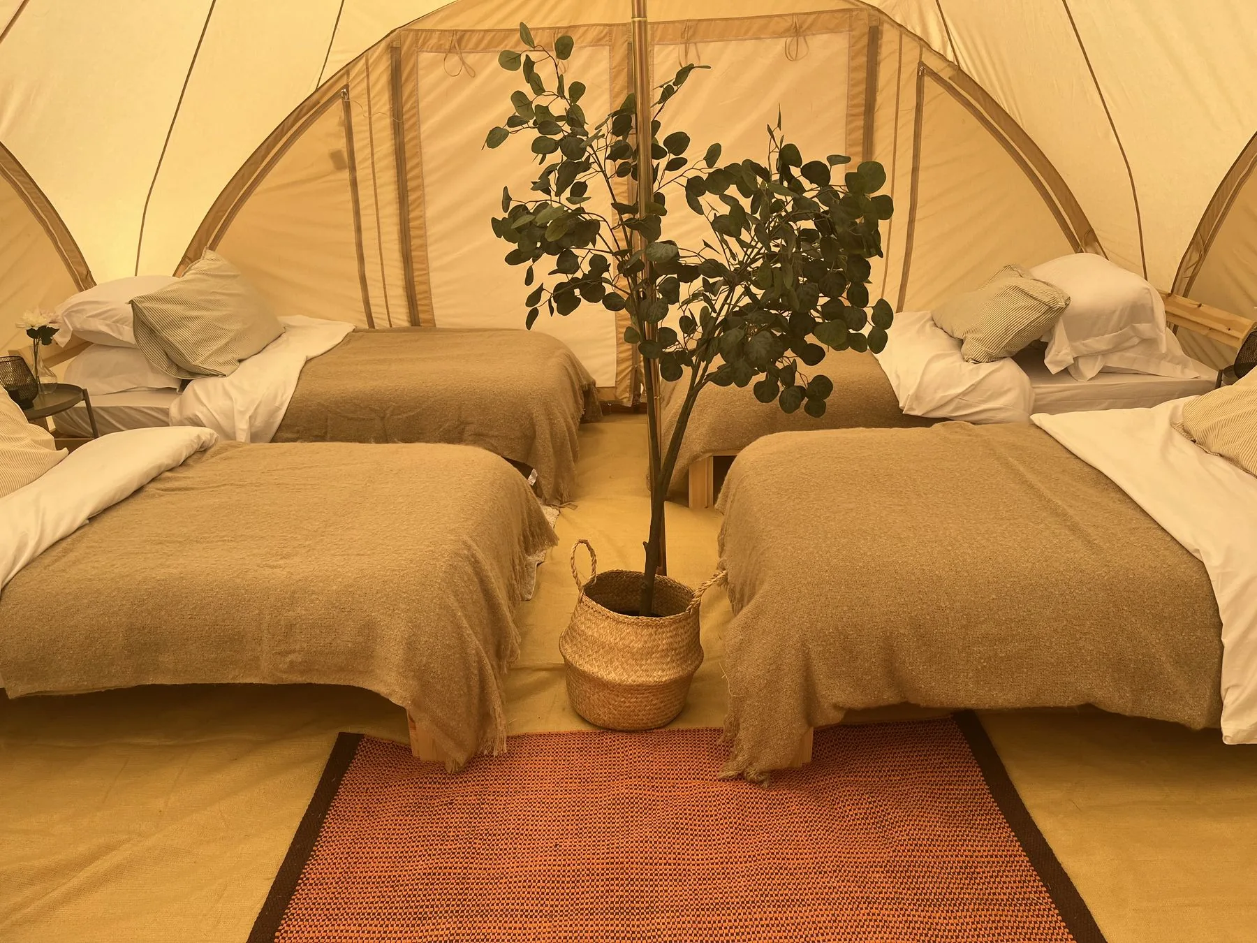 Four single beds laid out inside a tent