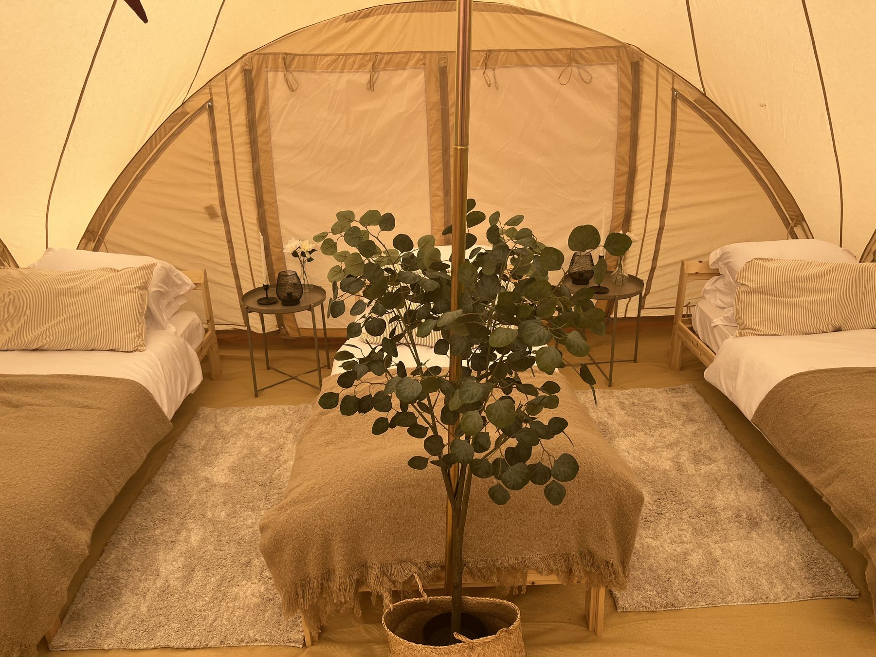 Three single beds laid out inside a tent
