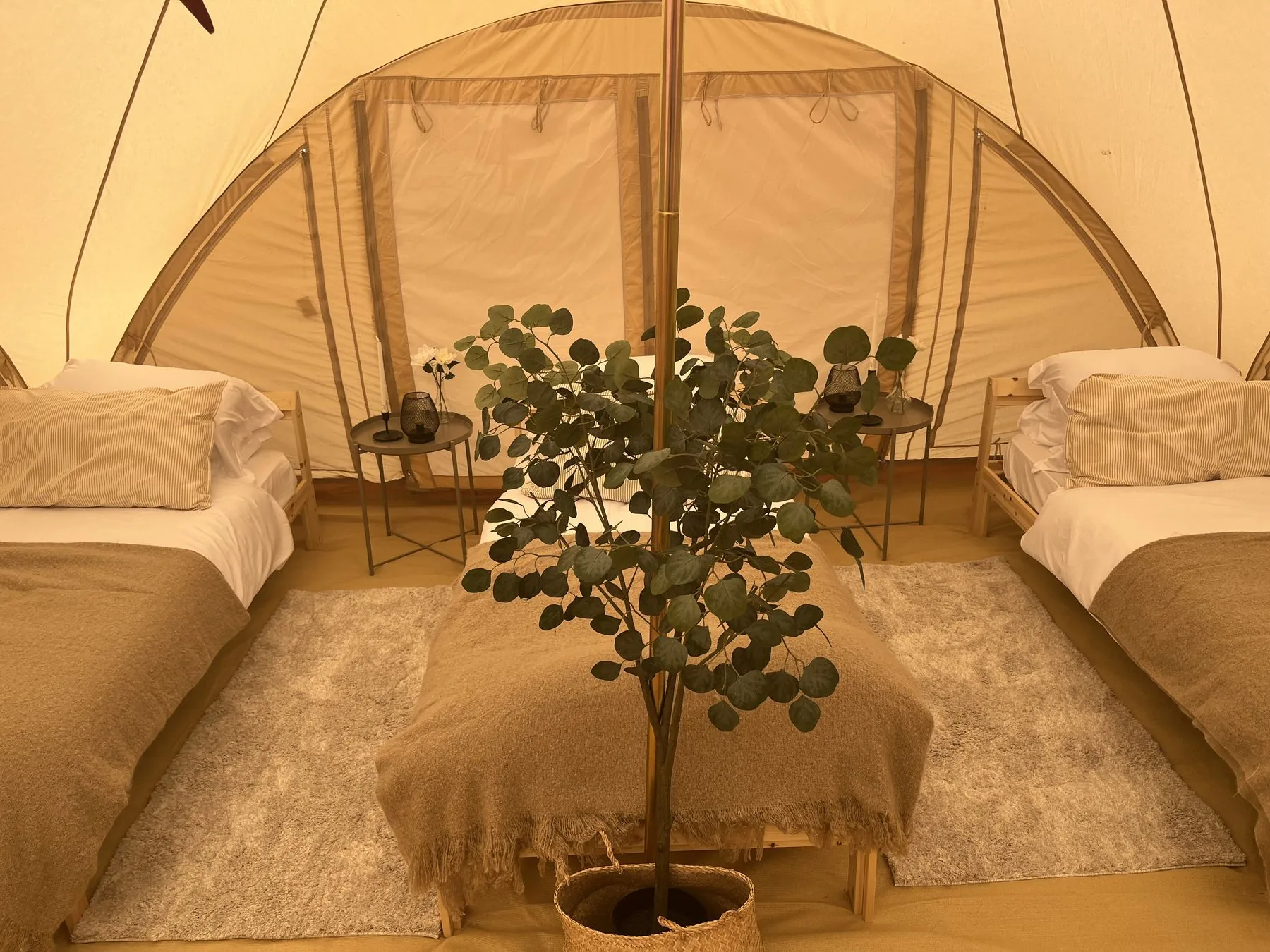 Three single beds laid out inside a tent